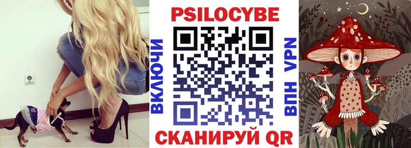 Галлюциногенные грибы прущие грибы  Шарья 